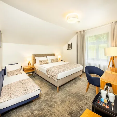 Hotel Vyhlidka 4*